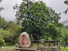 -青峰峡国家森林公园