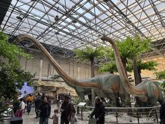 -国家自然博物馆