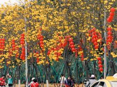 -洲头咀公园