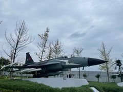 -成飞公园