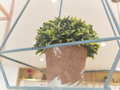 -鲜芋仙(中山路店)