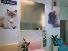 -瑞派申生动物医院·24H夜诊·国际动物医疗中心·骨外科(吴中路店)