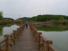 -桤木河湿地公园