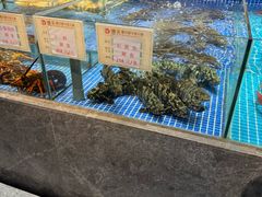 -德天肥牛海鲜火锅(龙吟坊店)