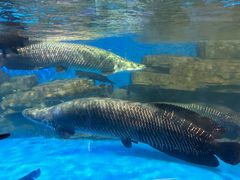 -石林冰雪海洋世界