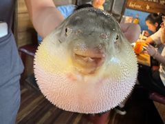 -永安鱼庄·镇江菜(丁卯店)