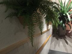 -嘉和一品粥(方庄店)