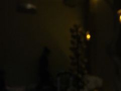 -Dragonfly悠庭·按摩Spa(浦东嘉里城店)