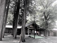 -北海道神宫
