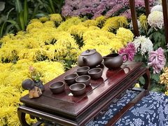 -汇龙潭