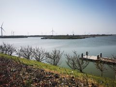-启东黄金海滩景区