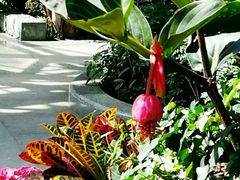 -北京植物园-展览温室