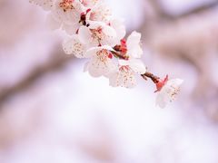 -塘沽森林公园