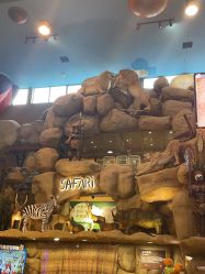 -卡通尼·Safari非洲探索乐园·生日会(金桥国际商业广场店)