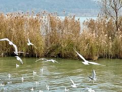 -苏州吴中太湖旅游区