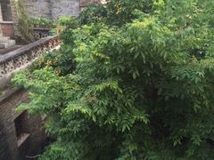 -烟桥私房菜馆(奋哥)