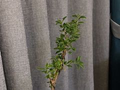 -宴昆山·私房菜(春晖店)