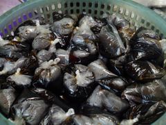 -三身人金新肠粉(丹霞店)