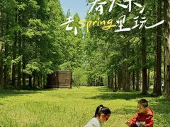 -黄海国家森林公园