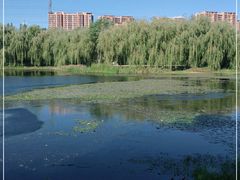 -东坝千亩湖公园