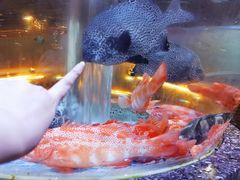 可可爱爱-德胜轩正宗顺德菜(宝安沙井会展中心店)