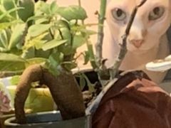 -雲泊自然养生·足道SPA(鎏嘉码头店)