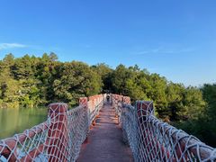 -广州白江湖森林公园