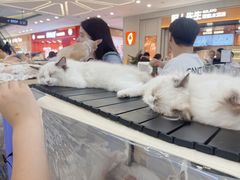 -万达广场(大明宫店)