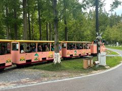 -黄海国家森林公园