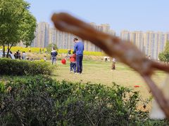 -洋湖国家湿地公园