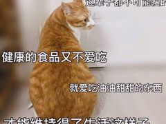 -德兴馆(山西南路店)