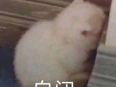 -谭师爷龙抄手(白下路店)