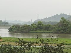 -风云岭森林公园