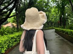 -长安公园