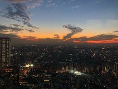 -东京都厅舍