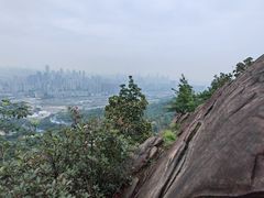 -南山植物园
