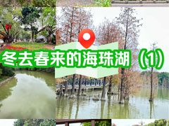 -海珠湖公园