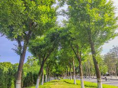 -汉长安城未央宫国家考古遗址公园