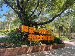 -深圳市儿童乐园