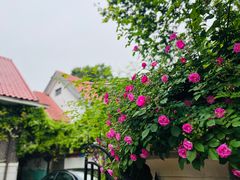 -天津五大道文化旅游区