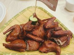 -光明乳鸽·凤凰客家酒楼(老店)