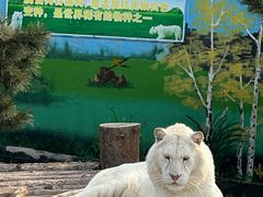-西霞口神雕山野生动物世界