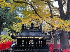 -红螺寺