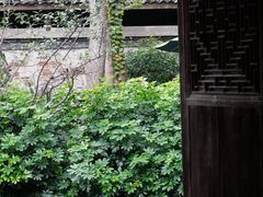 -安仁古镇