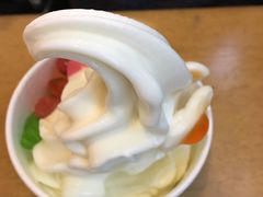 -Salud撒露欧洲冻酸奶(蓝色港湾店)