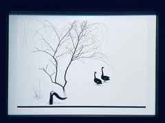 -罗红摄影艺术馆