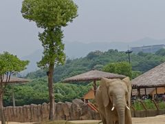 -杭州野生动物世界
