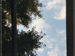 -大小咖啡 BigSmallCoffee(麦子店)