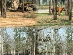 -秦皇岛野生动物园