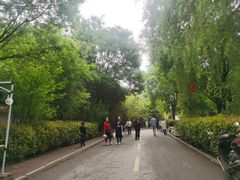 -渭南桃花源民俗文化园